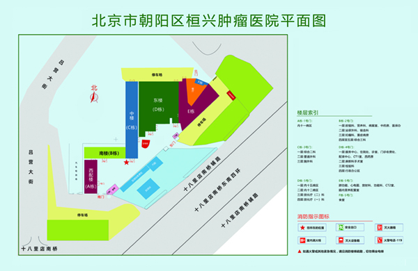 www.com插逼北京市朝阳区桓兴肿瘤医院平面图